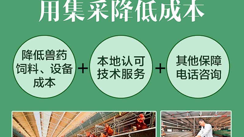 细胞工厂层数规格，揭秘高效生产背后的秘密**