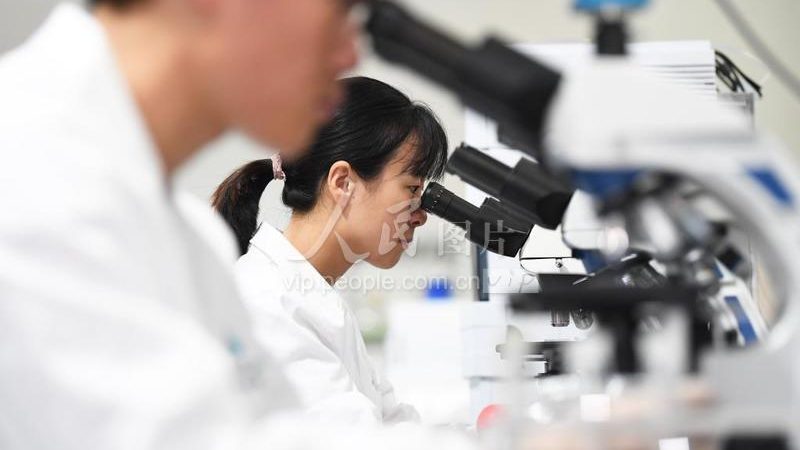 儿童智力基因检测：揭秘价格背后的价值**