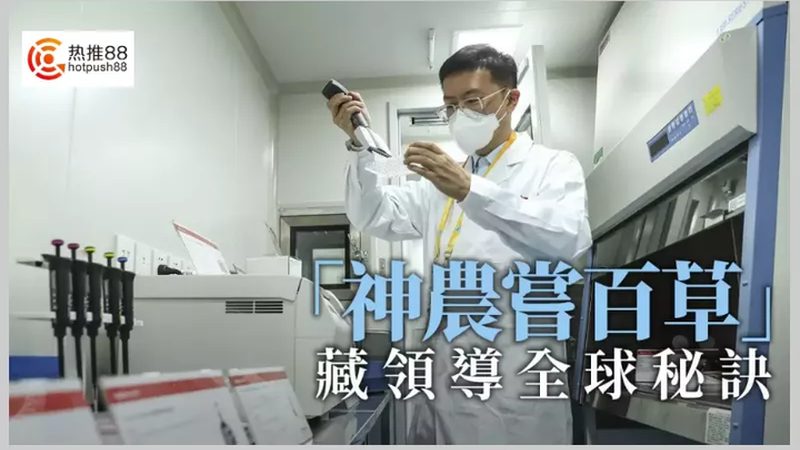 PCR检测报价单：如何准确评估检测服务价值**