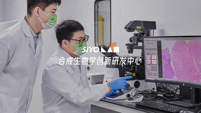 SaaS产品助力CRO优化：提升研发效率的关键路径