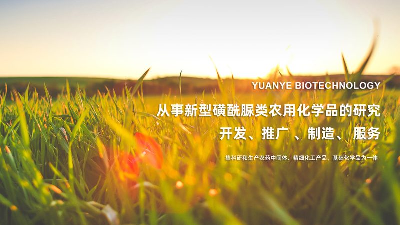 基因测序仪：选购背后的科学考量