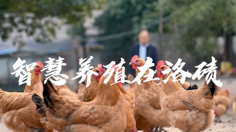 PCR检测灵敏度对比，揭秘提升检测准确性的关键