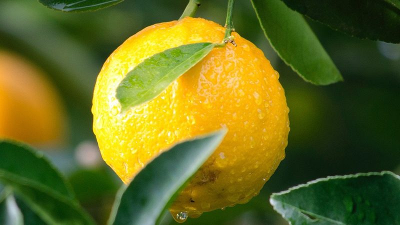 基因测序报告中的关键位点如何精准定位