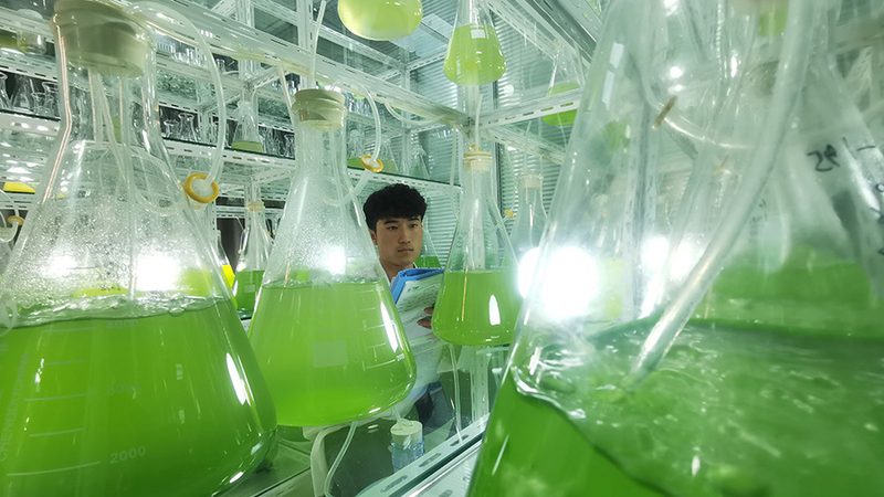 分子生物学试剂安装调试：关键步骤与注意事项**